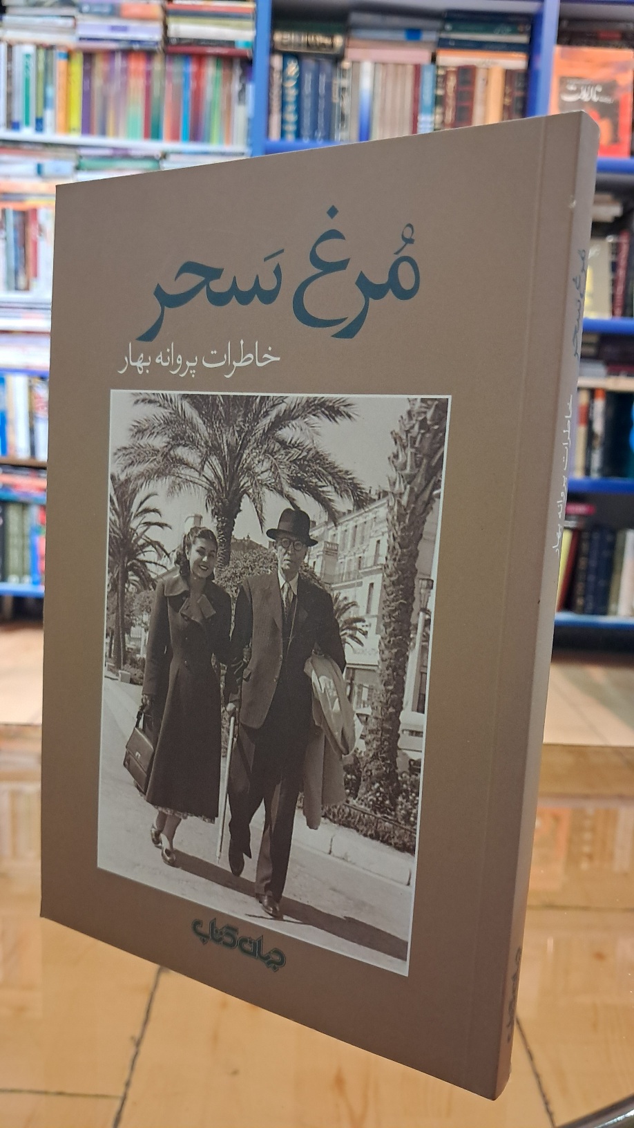 مرغ سحر