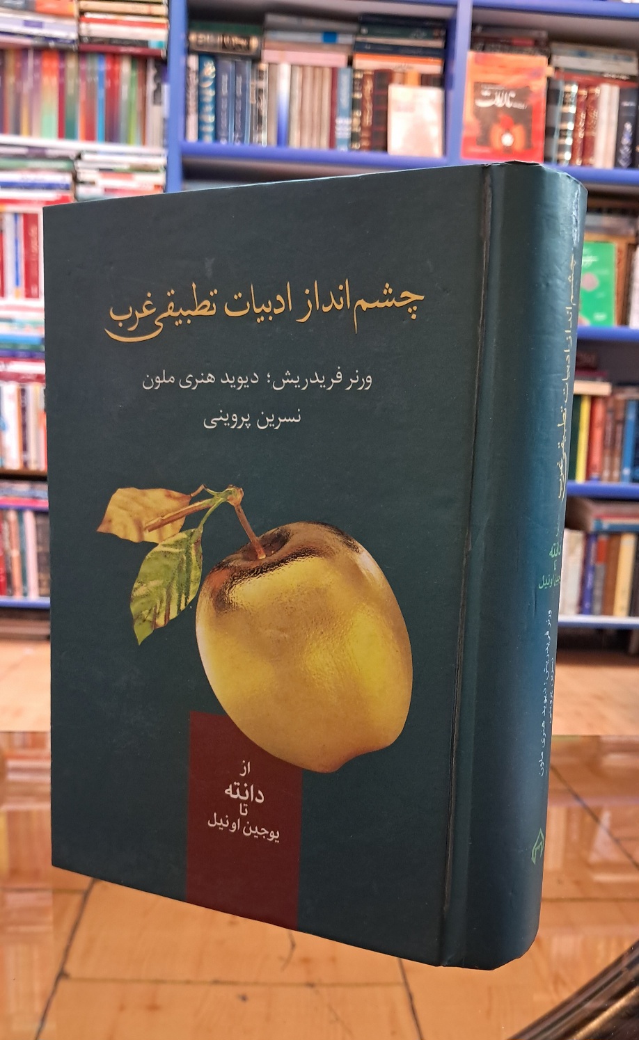 چشم انداز ادبیات تطبیقی غرب