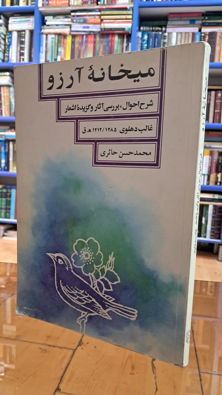 میخانه ی آرزو