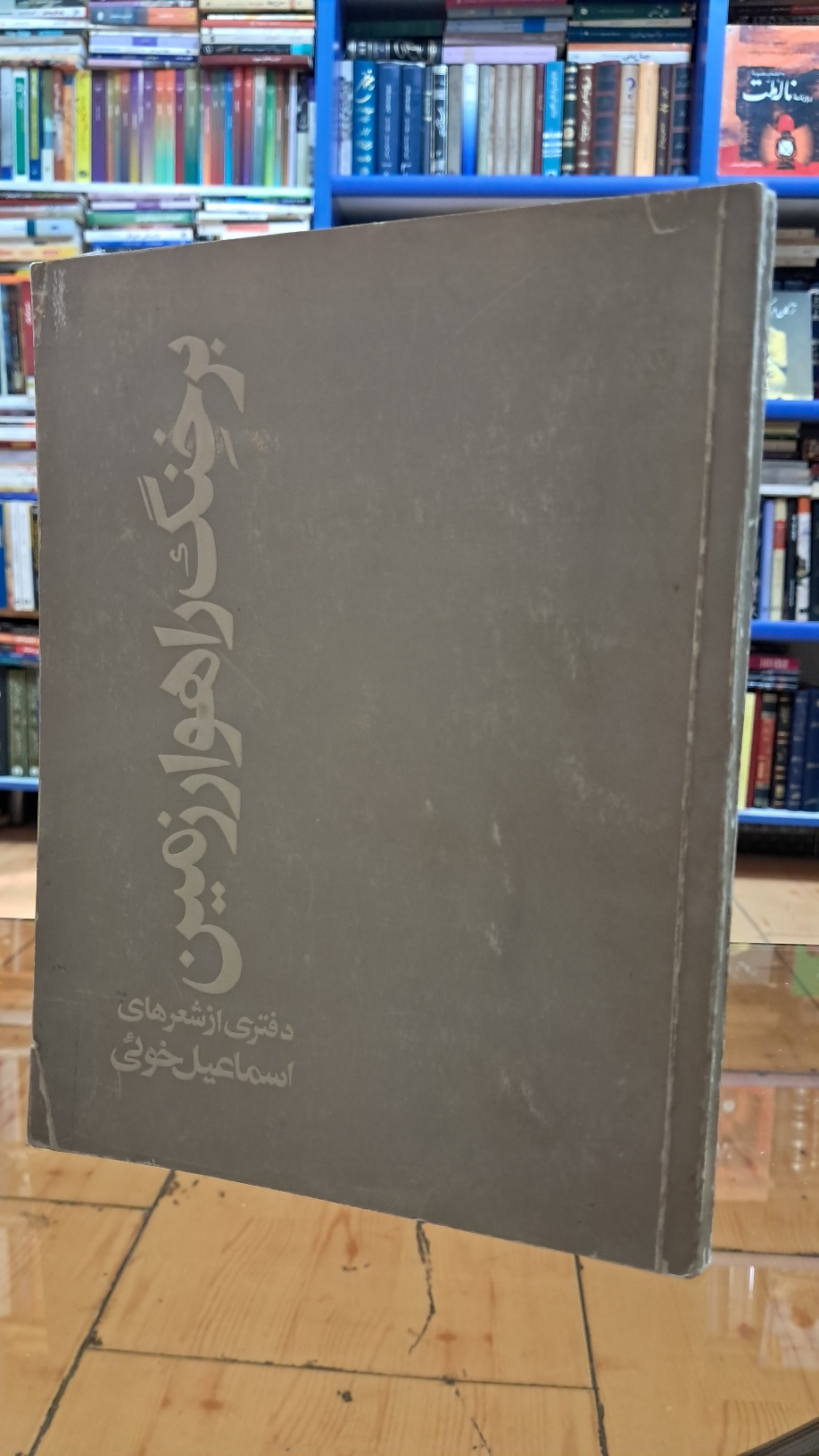 بر خِنگ راهوار زمین