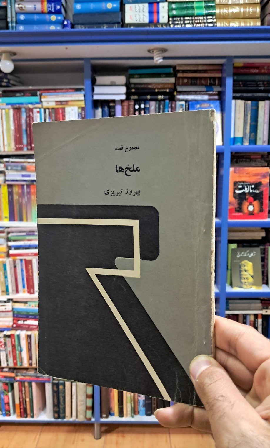 ملخ ها