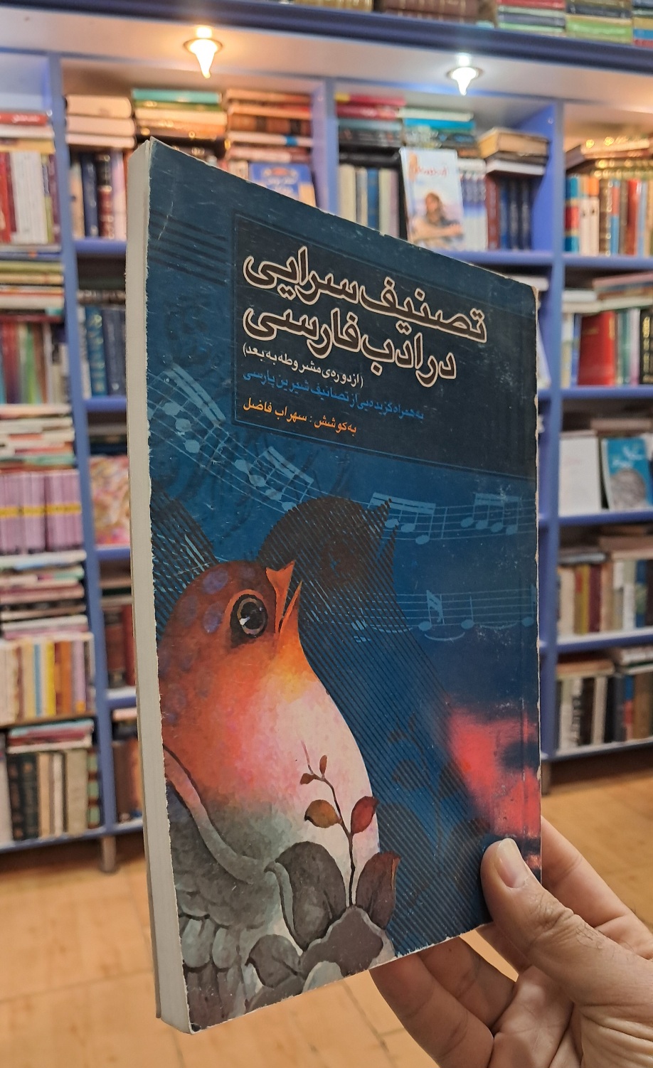 تصنیف سرایی در ادب فارسی