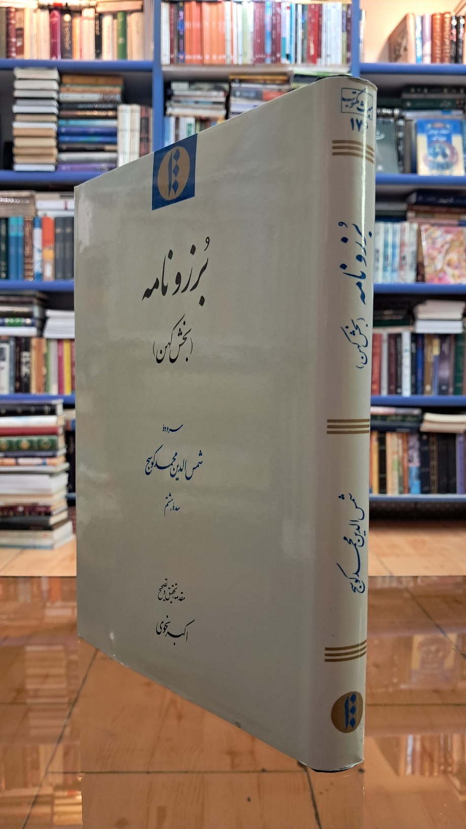 بُرزونامه