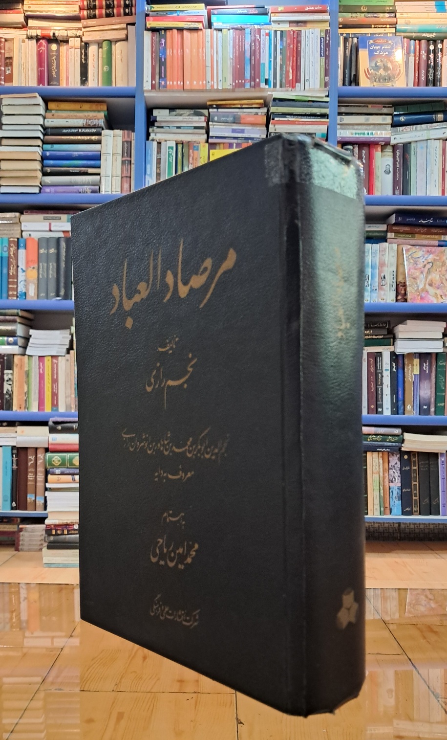 مرصاد العباد