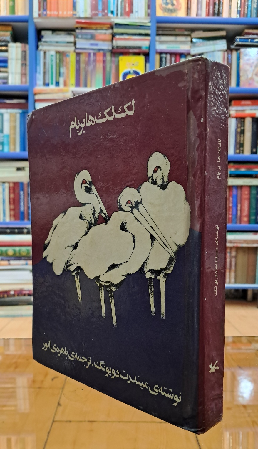 لک لک ها بر بام
