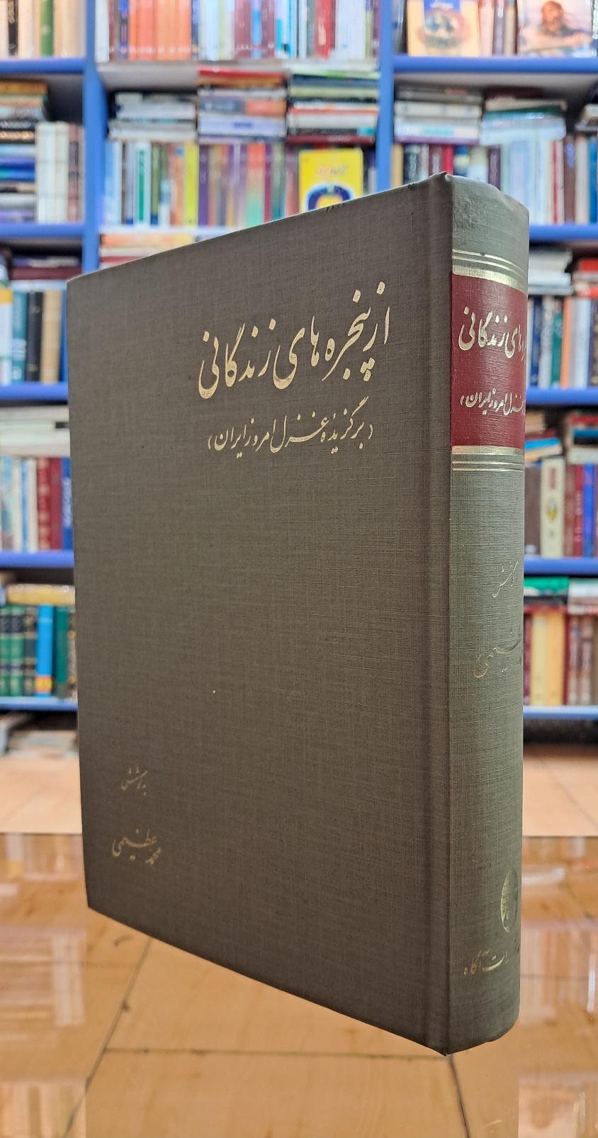 از پنجره های زندگانی
