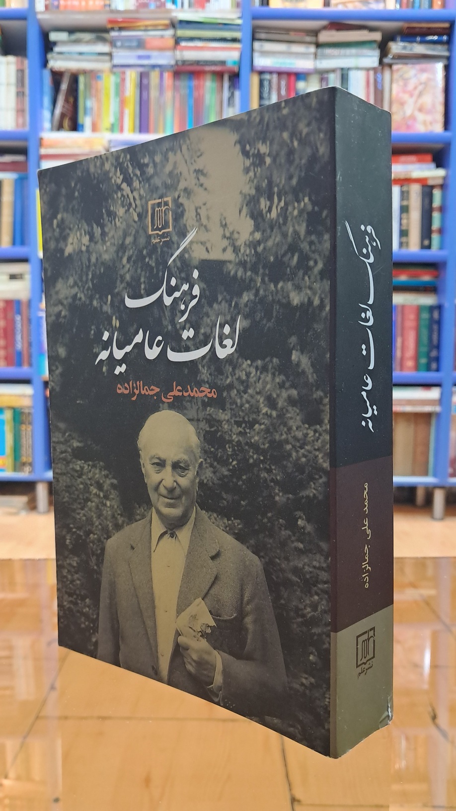 فرهنگ لغات عامیانه