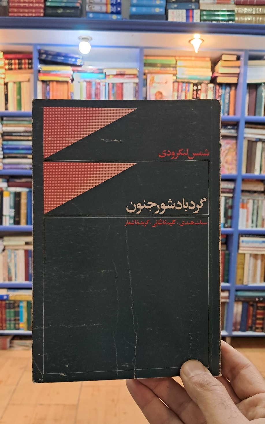 گردباد شور و جنون