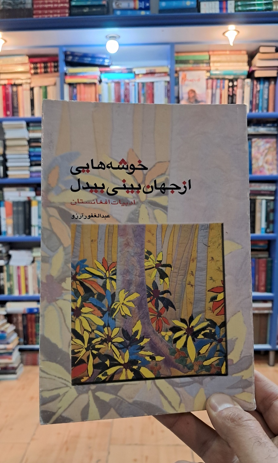 خوشه هایی از جهان بینی بیدل