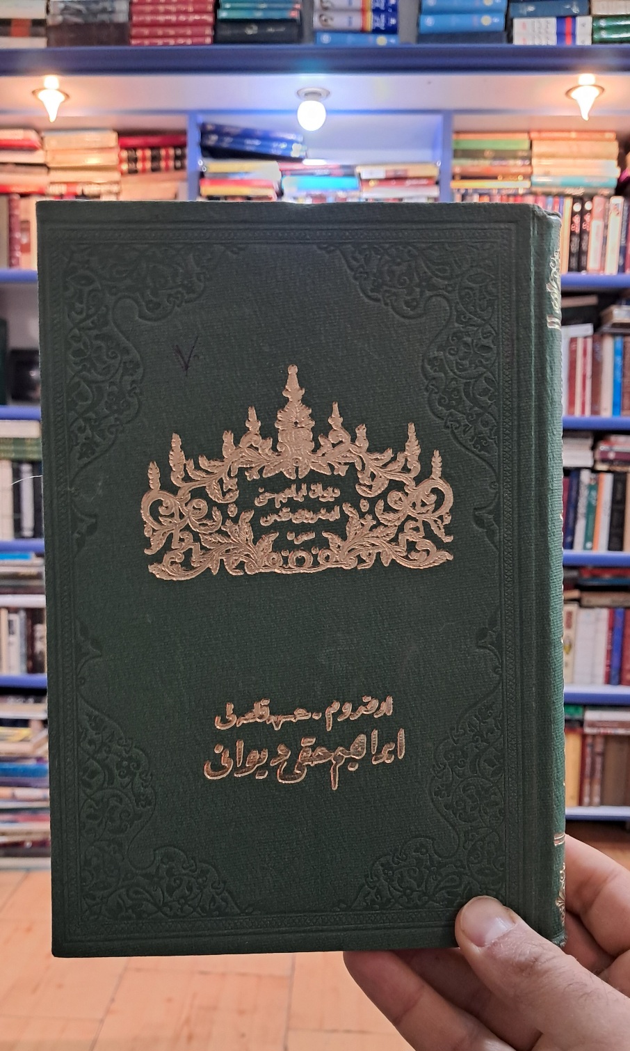 ابراهیم حقی دیوانی