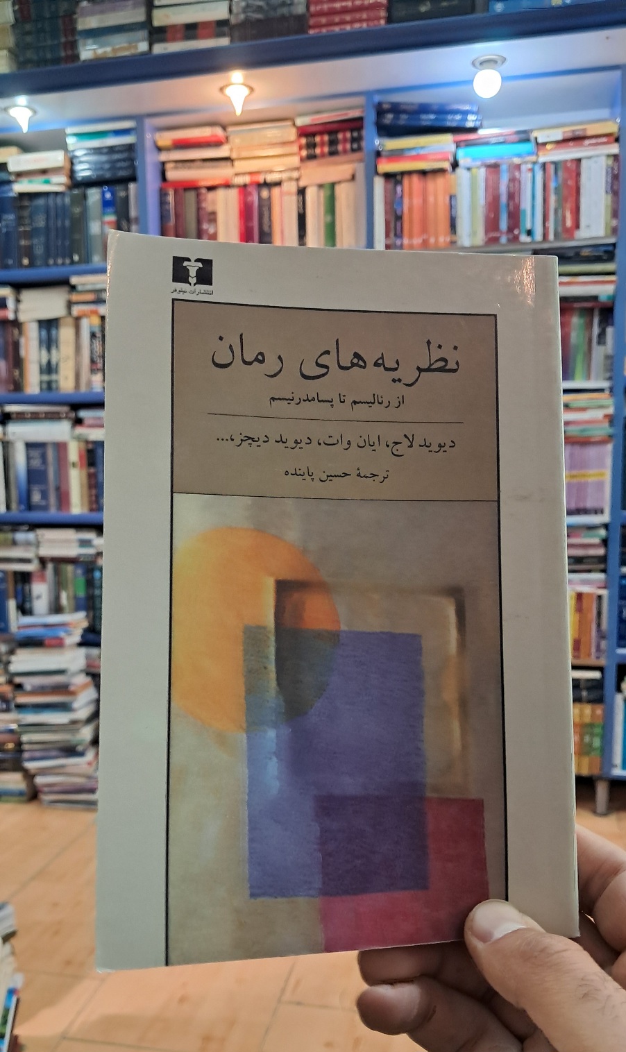 نظریه های رمان