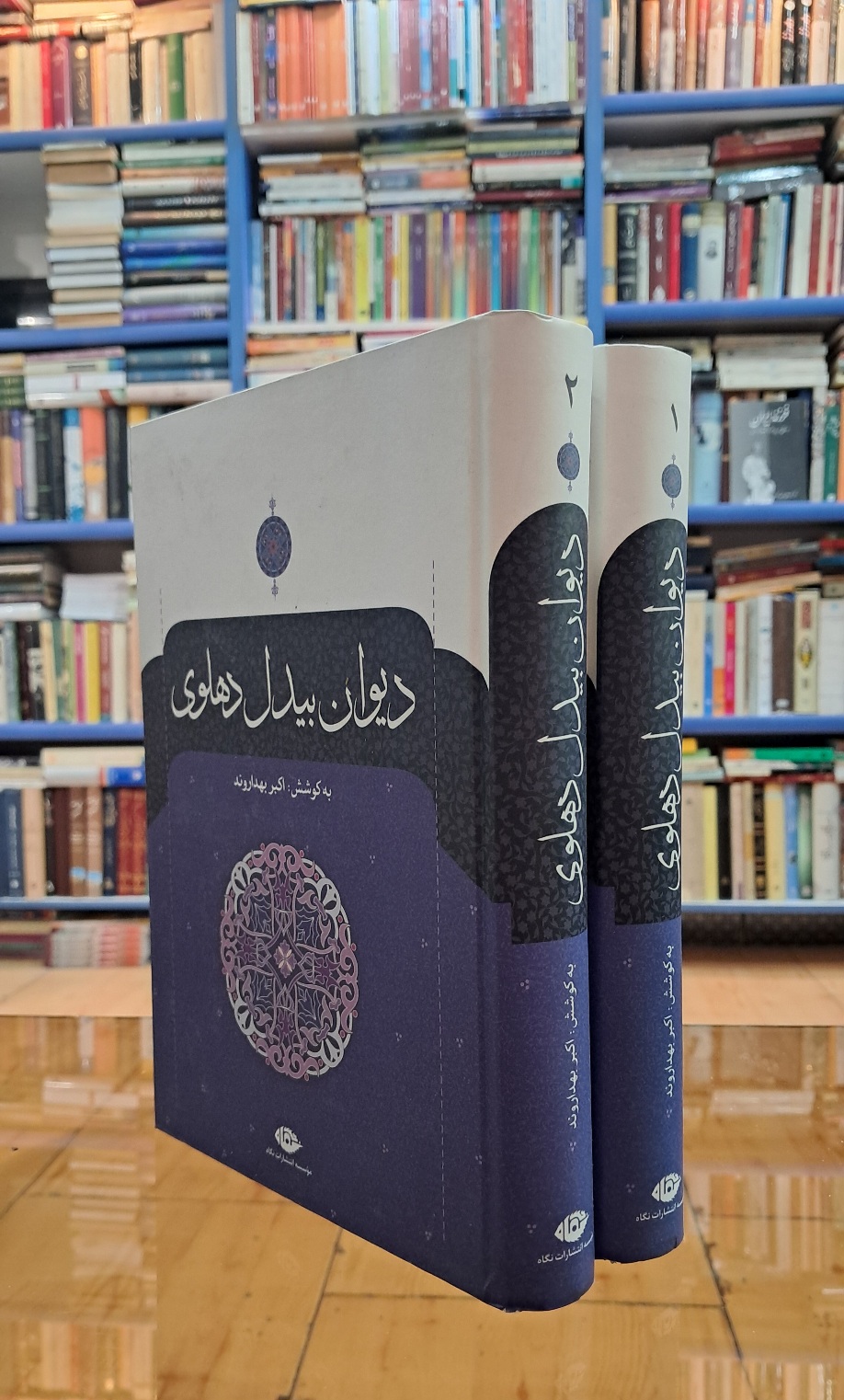 دیوان بیدل دهلوی (۲جلدی)