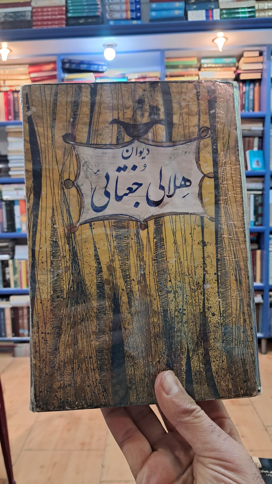 دیوان هلالی جغتایی