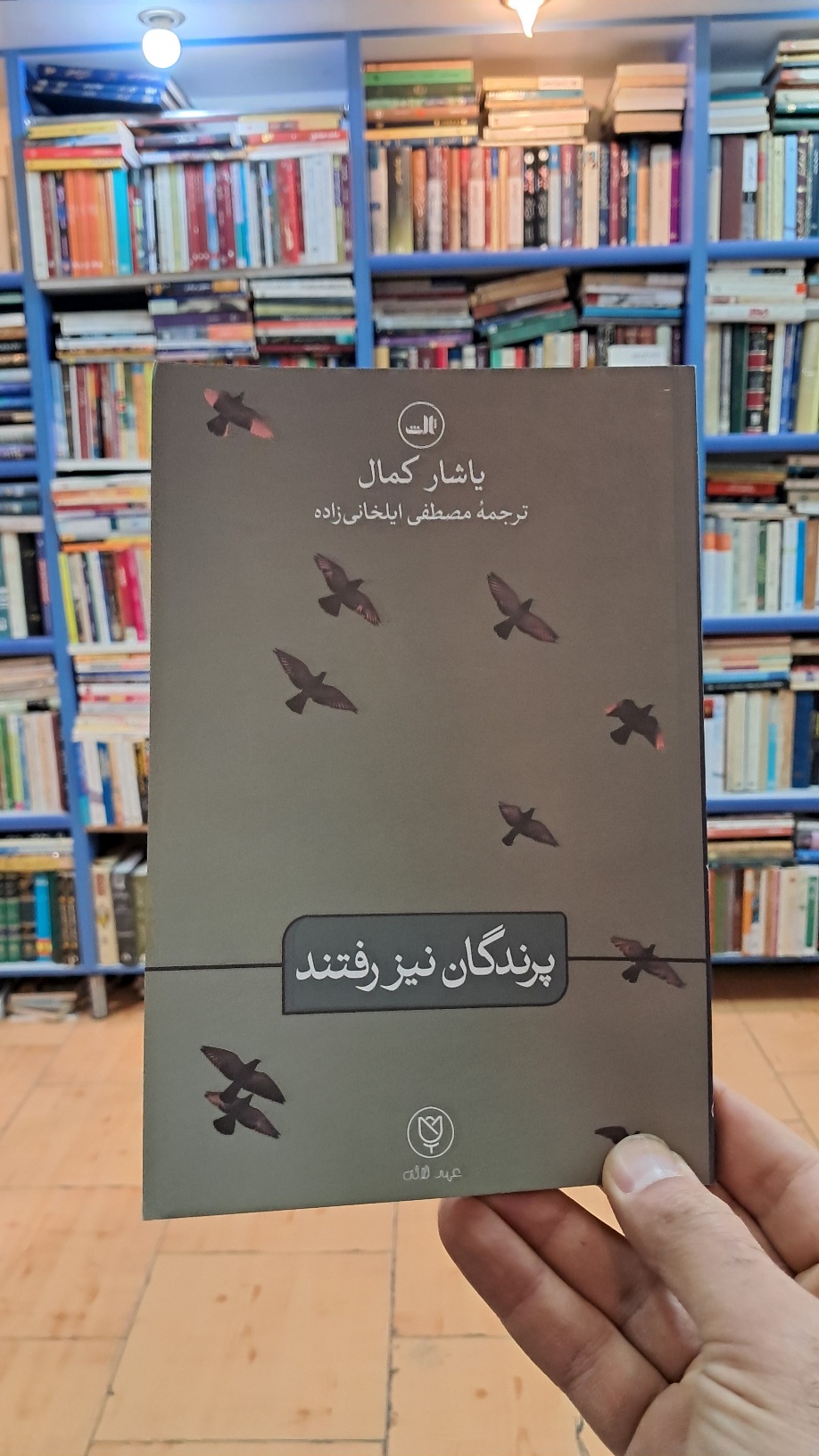 پرندگان نیز رفتند
