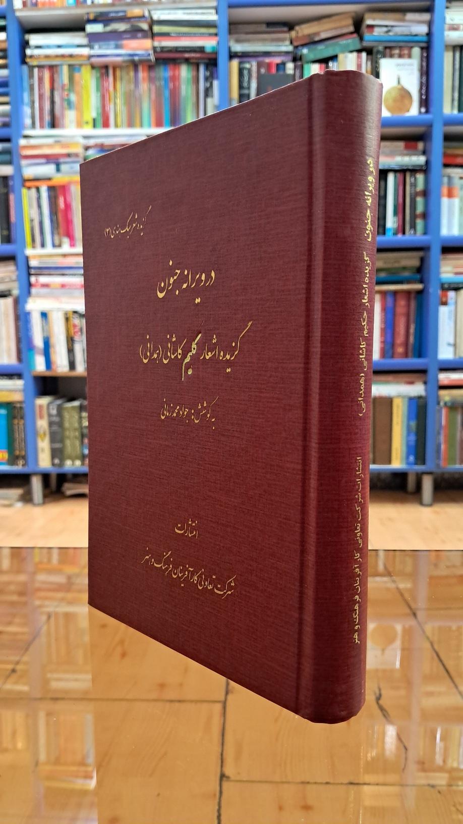 در ویرانه ی جنون