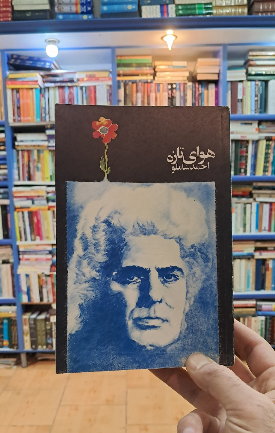 هوای تازه