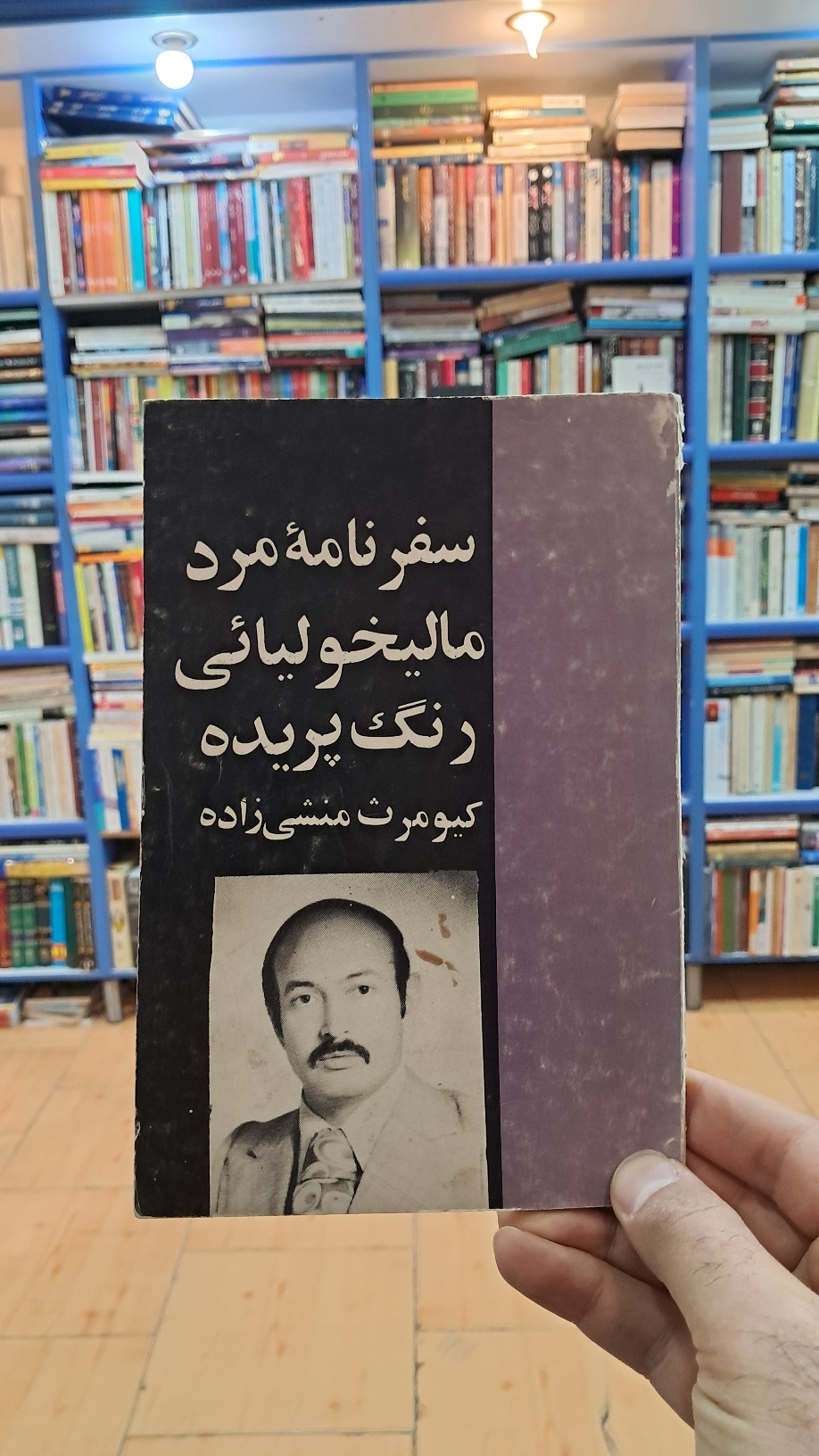 سفرنامه ی مرد مالیخولیائی رنگ پریده