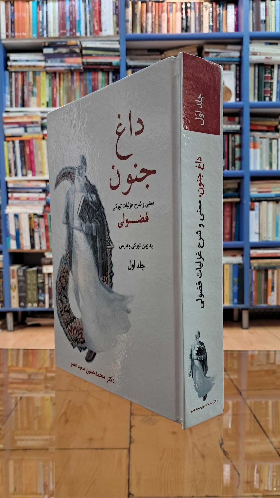 داغ جنون جلد اول