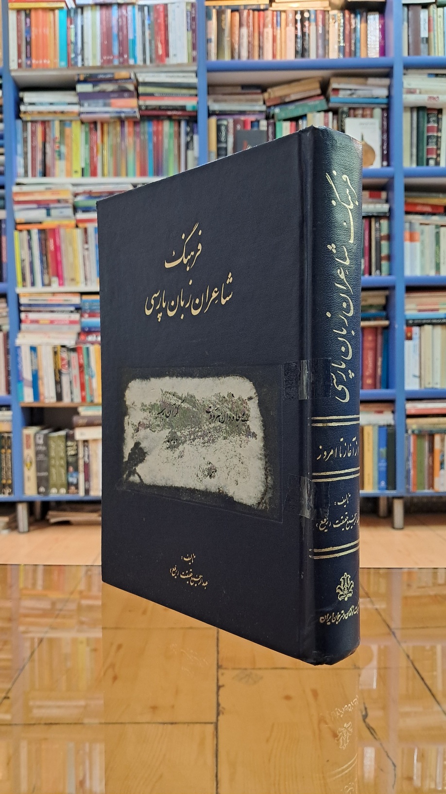 فرهنگ شاعران زبان پارسی