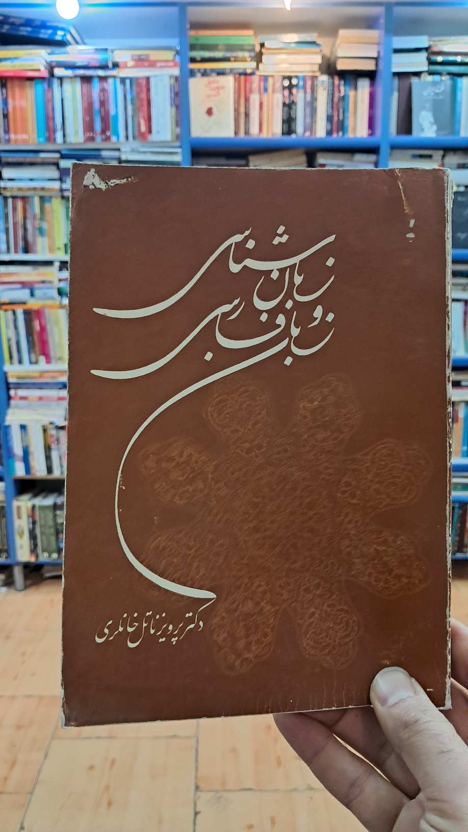 زبان شناسی و زبان فارسی