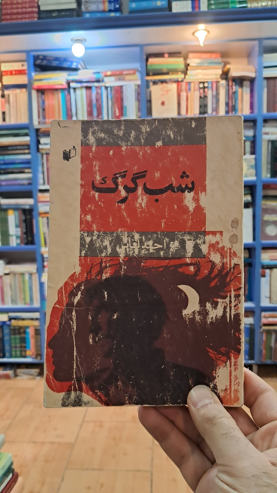 شب گرگ
