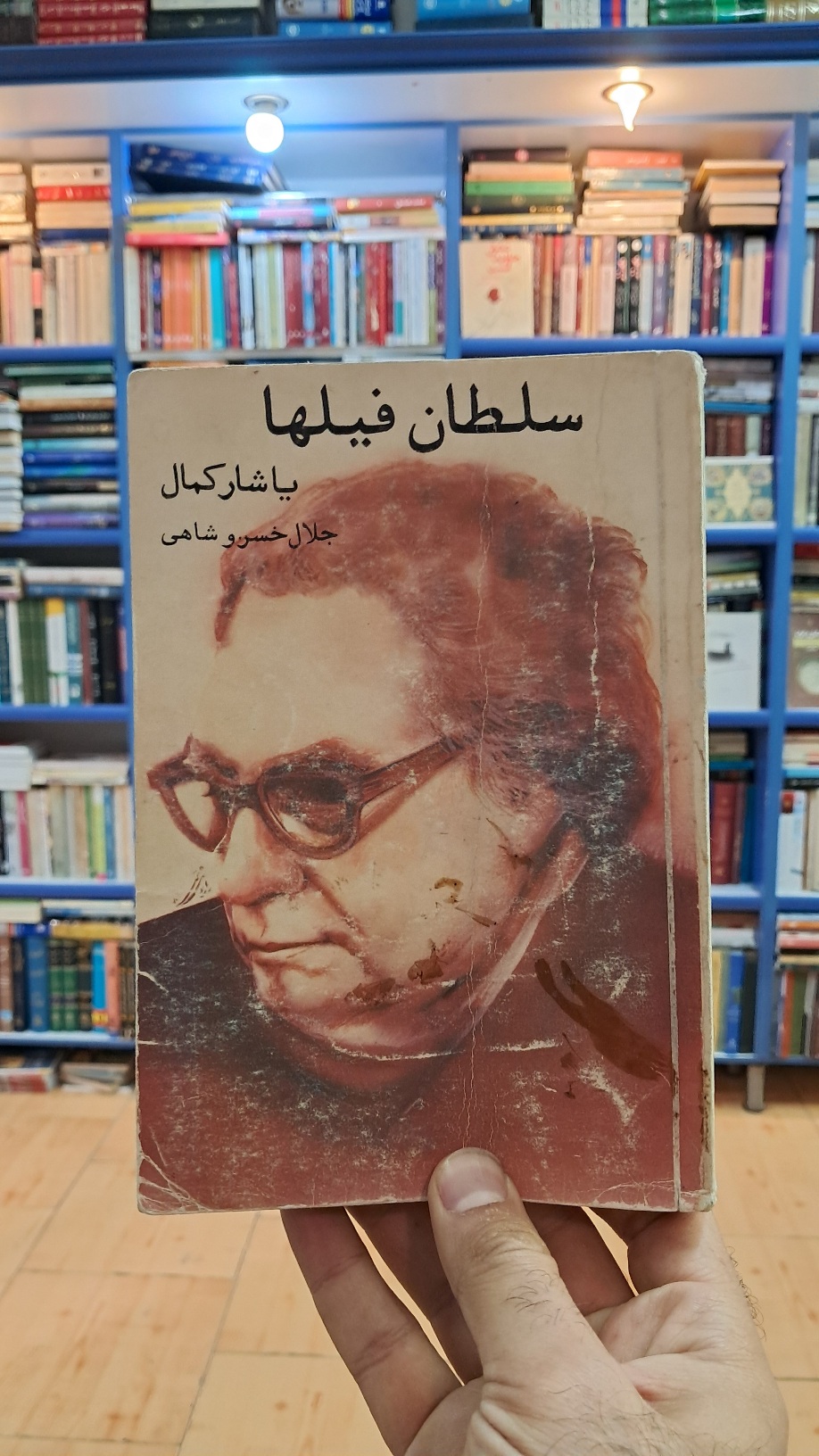 سلطان فیلها