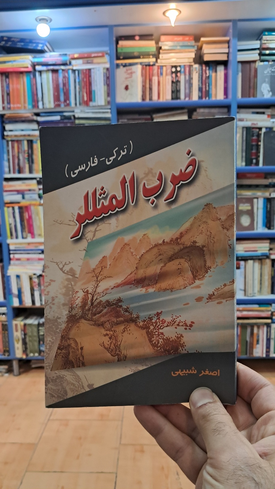 ضرب المثللر