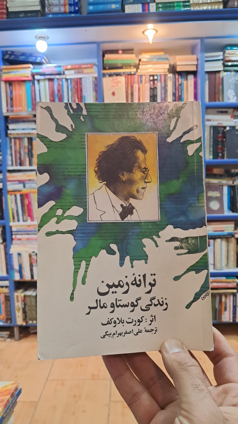 ترانه های زمین (زندگی گوستاو مالر)