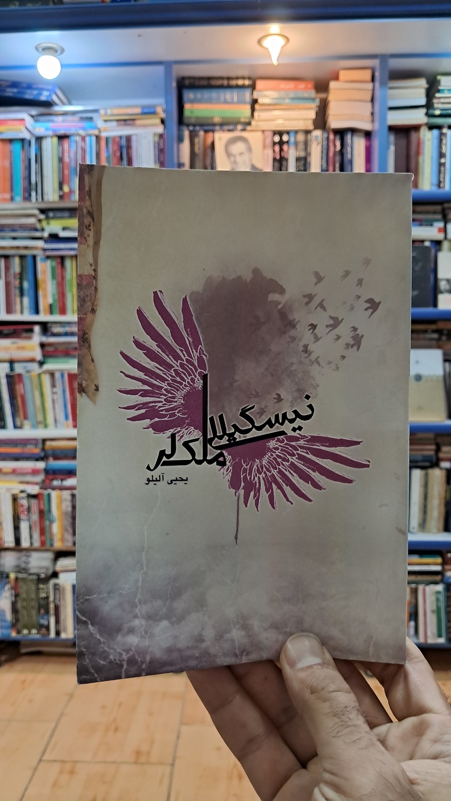 نیسگیللی ملک لر