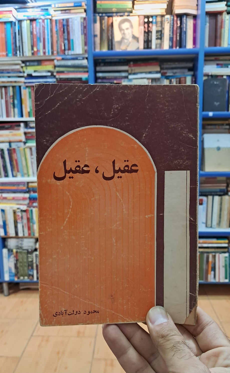 عقیل ، عقیل