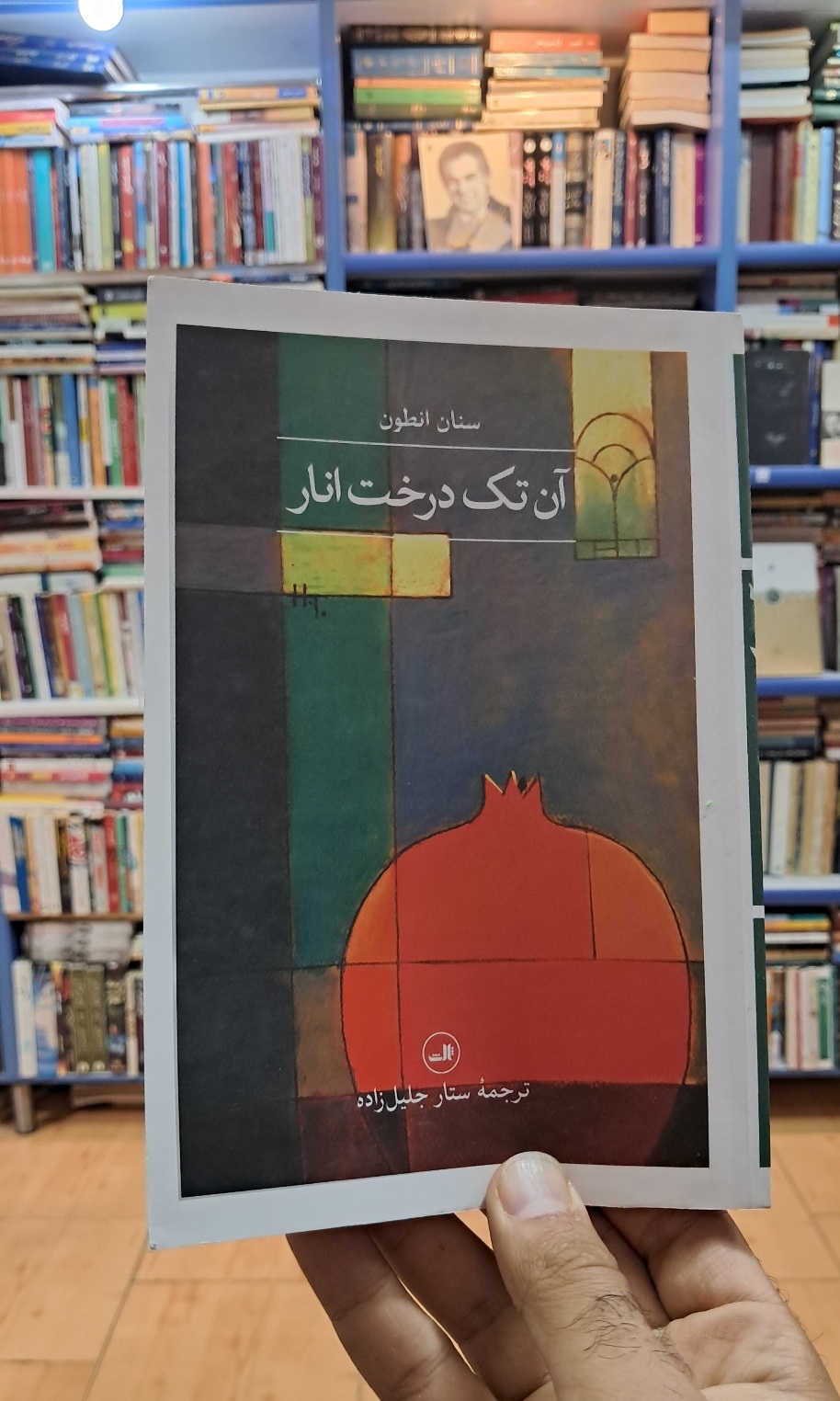آن تک درخت انار