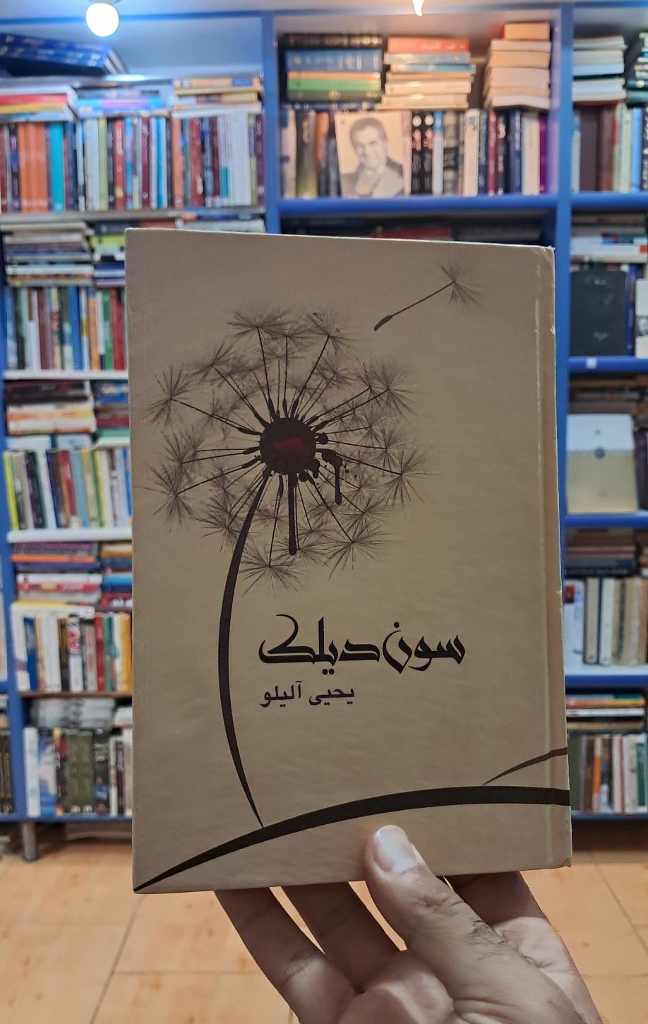 سون دیلک