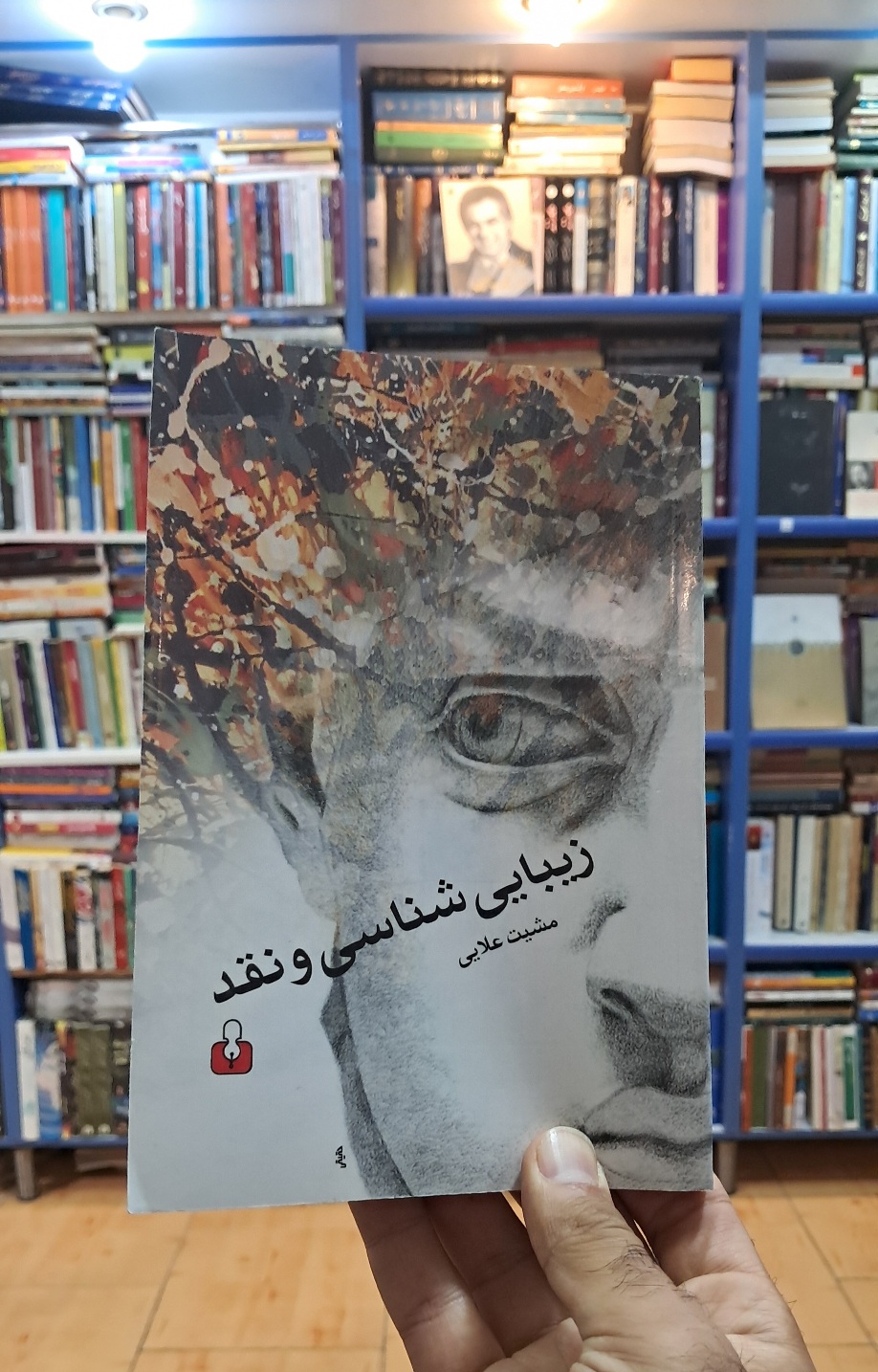 زیبایی شناسی و نقد