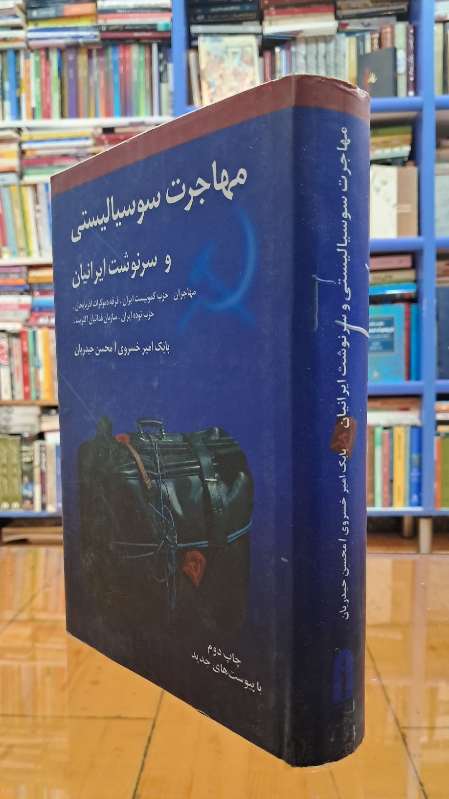 مهاجرت سوسیالیستی