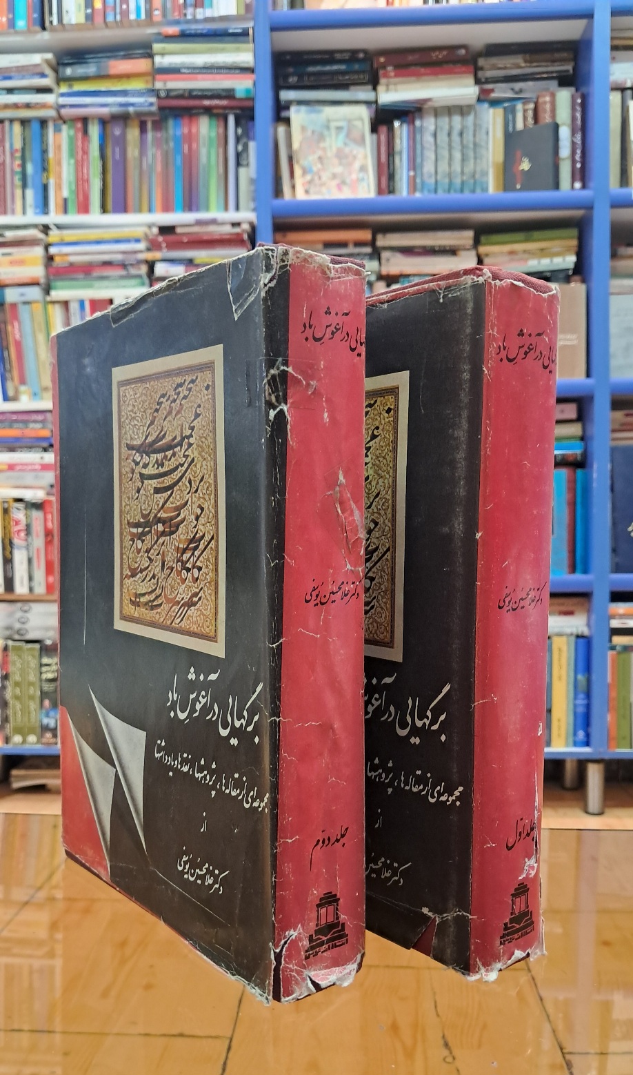 برگهایی در آغوش باد (۲جلدی)