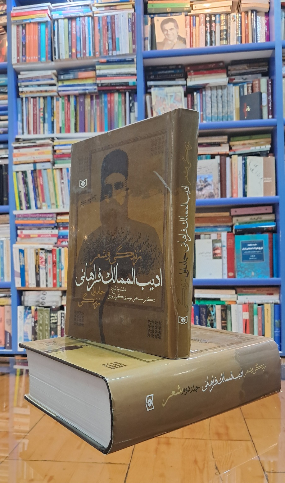 زندگی و شعر ادیب الممالک فراهانی (۲جلدی)