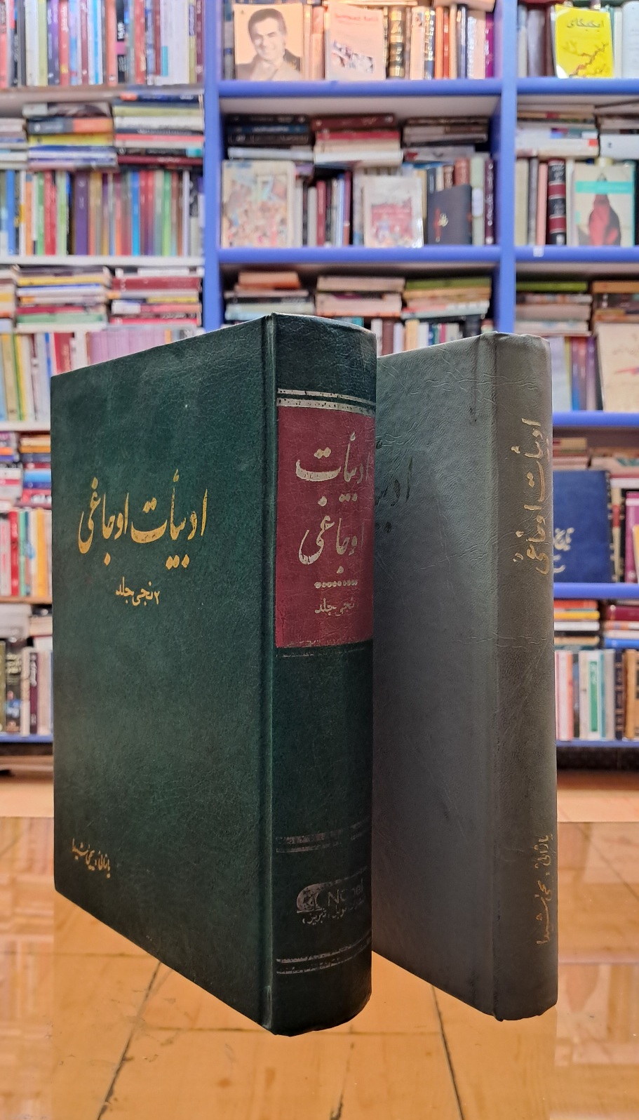 ادبیات اوجاغی (۲جلدی)