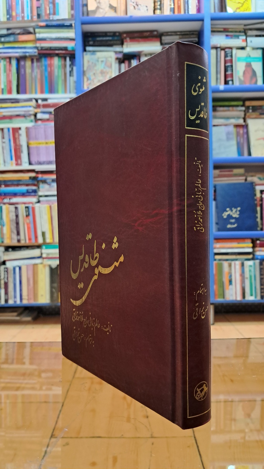 مثنوی طاقدیس